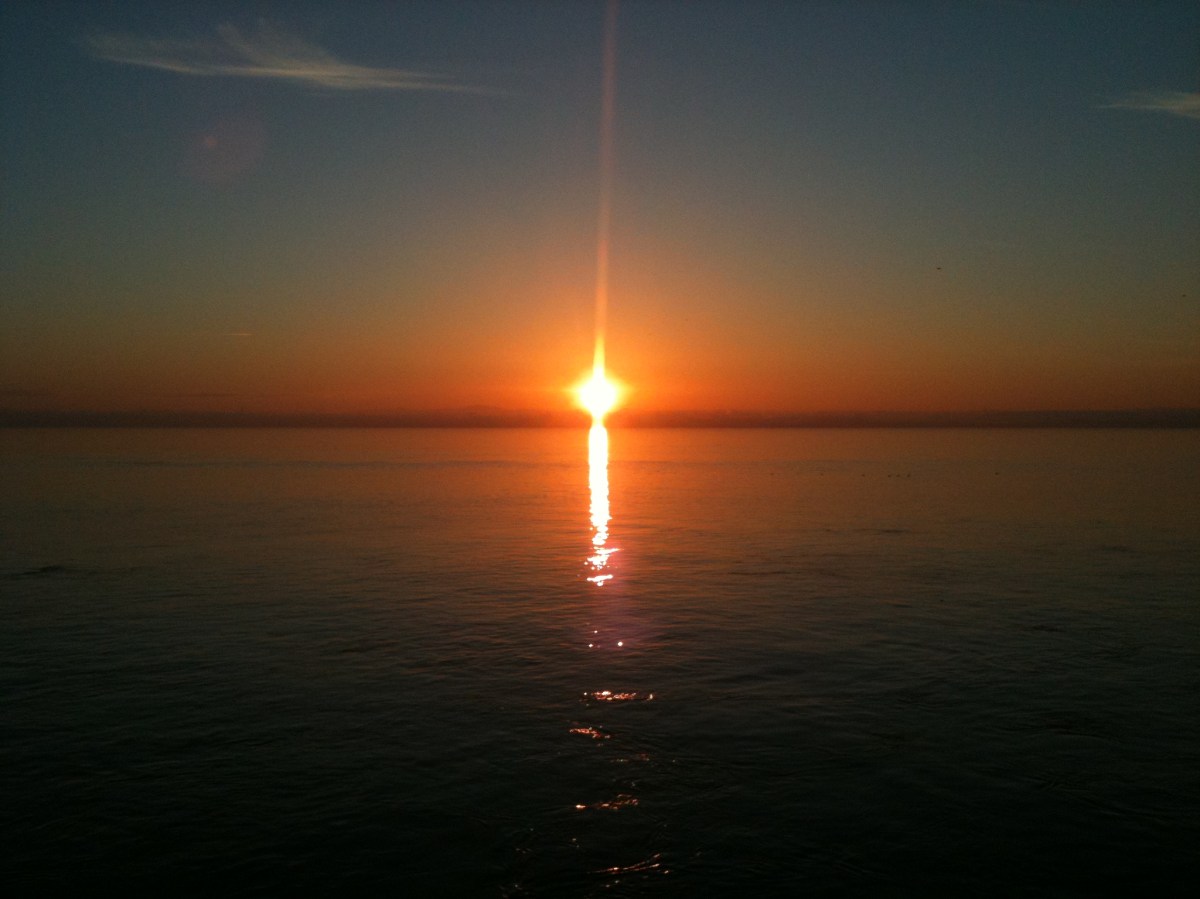 Charlotte Margarette Elisabeth Louise Aitken Née Petri: Rage Against the Dying of the&nbsp;Light