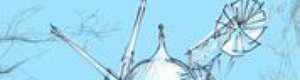 Guest Blog for Creative Nottingham: Getting under their skin: portraits of Hockley, St Anns and Sneinton by Mik&nbsp;Godley.