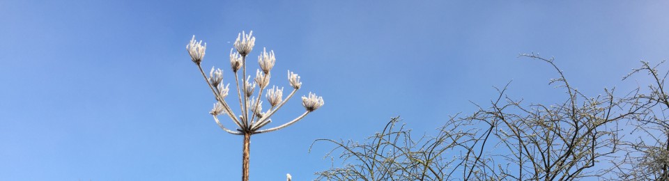 Coming Closer to Home:  after the communism…